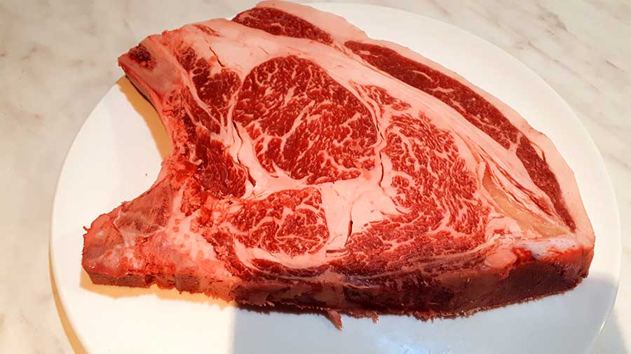 carne di bisonte Torino